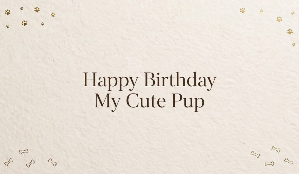 Short Funny Birthday Wishes for Dog